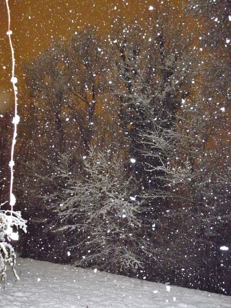  - 2019 - 04 - 2020 - 00 - Iarna