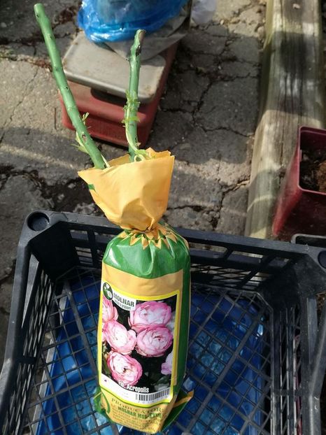 Acropolis-2 - ACROPOLIS