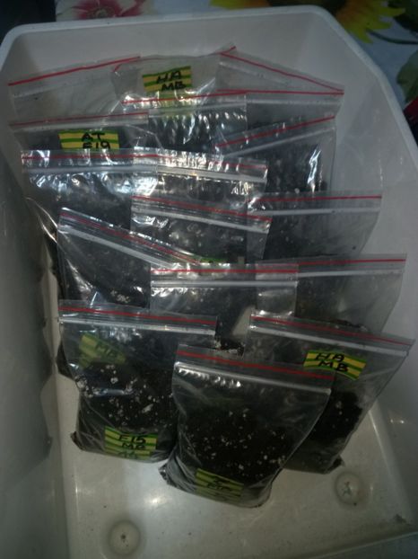  - Promoția 2019-2020