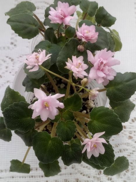 28 feb - Trail Along