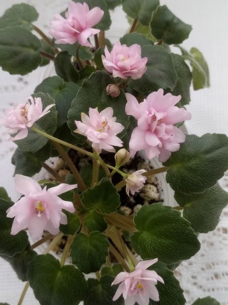 28 feb - Trail Along