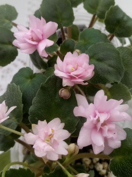 28 feb - Trail Along