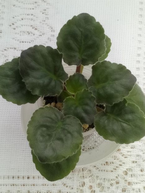 28 feb - KZ Danochka