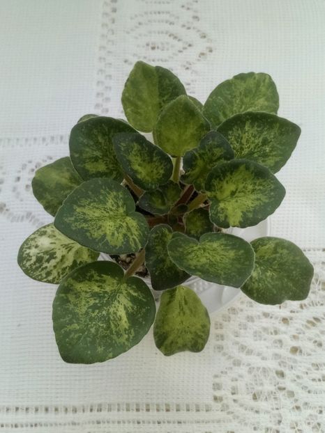 28 feb - Mac s Just Jeff