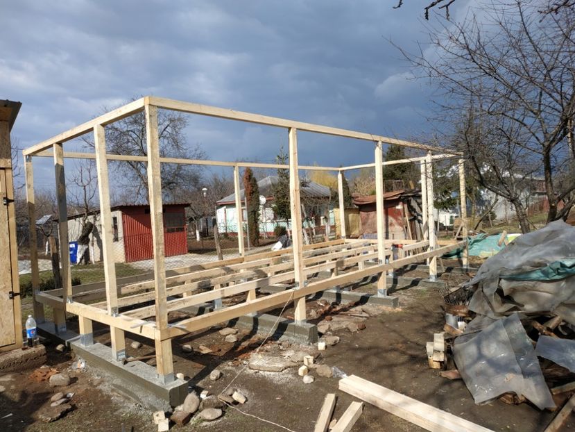  - Volieră nouă 2020