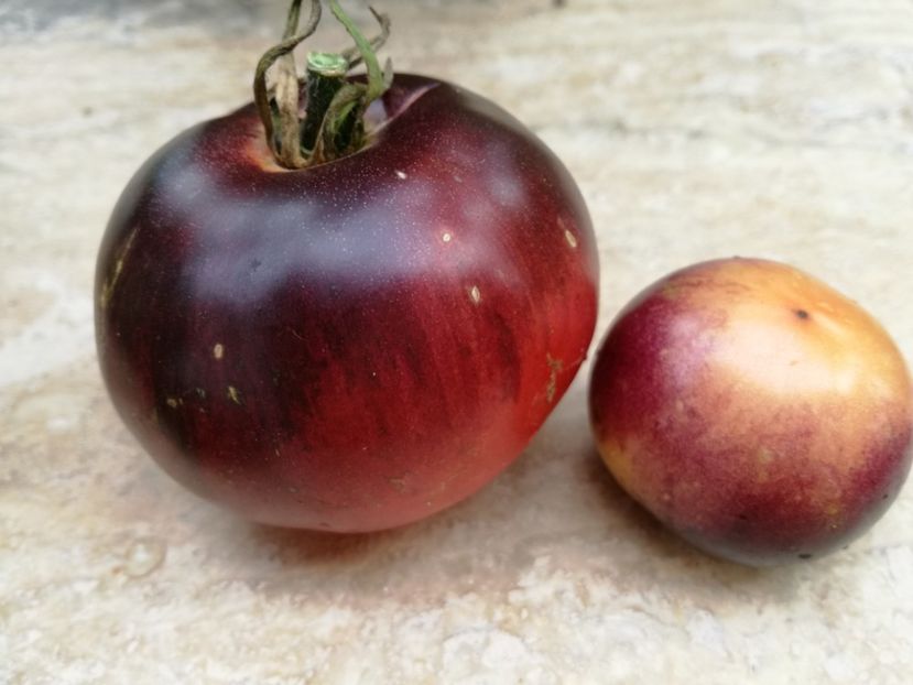 amethyst jewel2 - Tomate