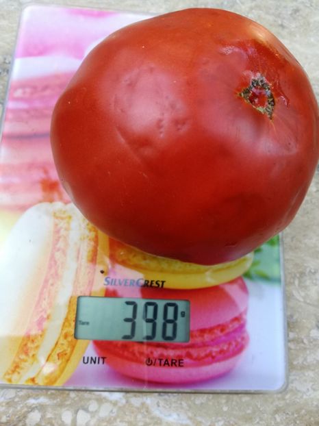  - Tomate