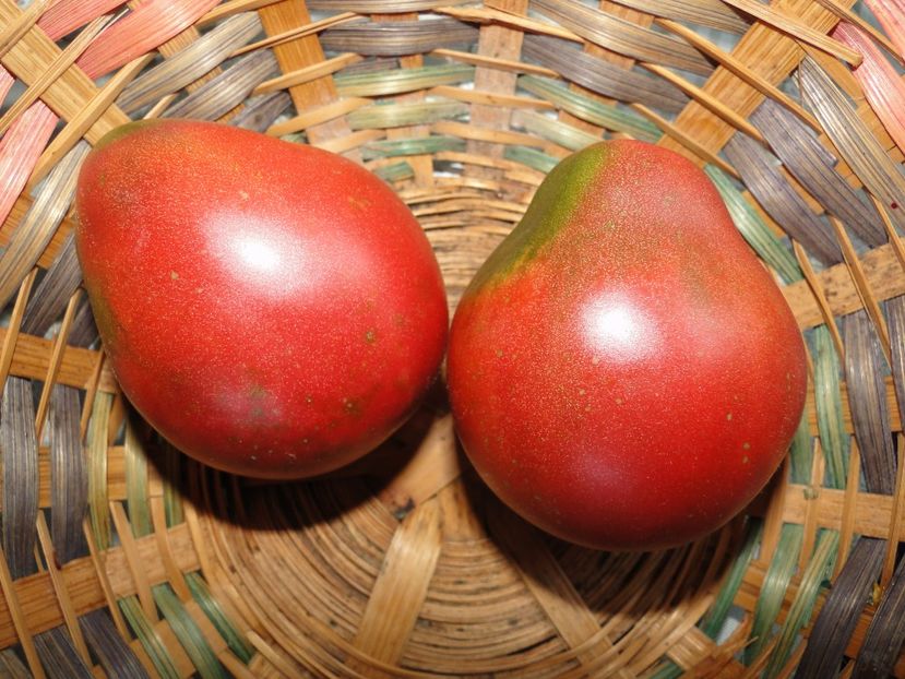 Cana de vin - Tomate
