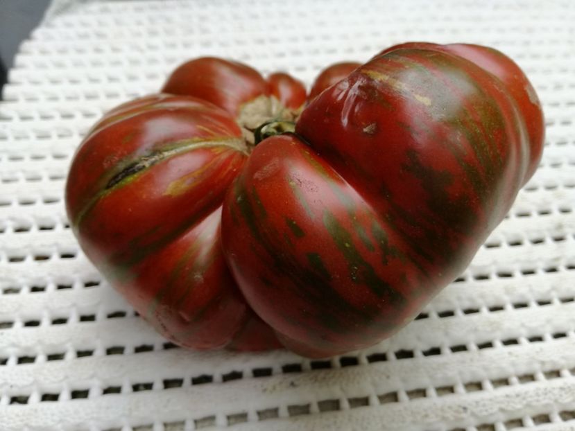 choco Stripes - Tomate