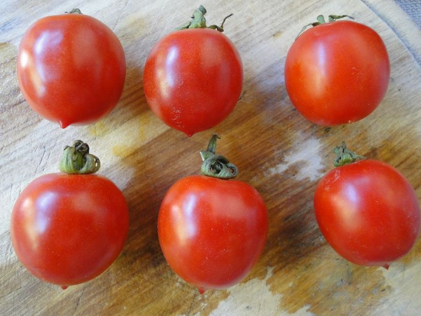  - Tomate