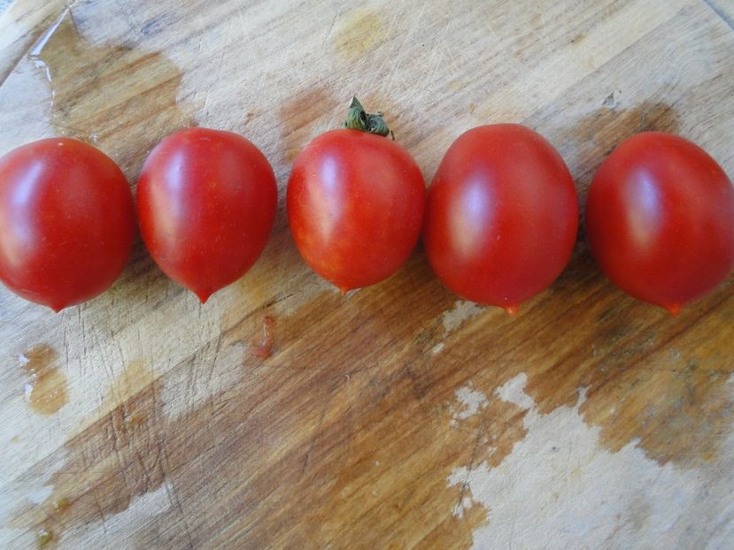  - Tomate