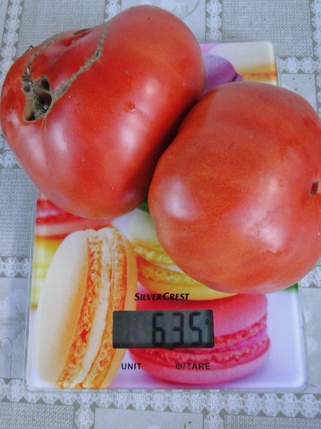  - Tomate