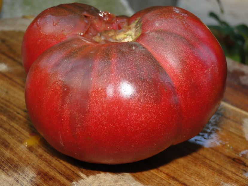 - Tomate