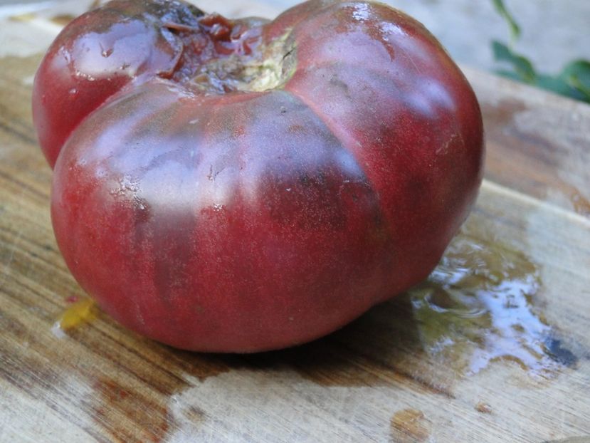  - Tomate