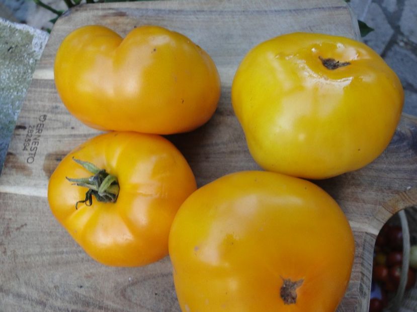  - Tomate