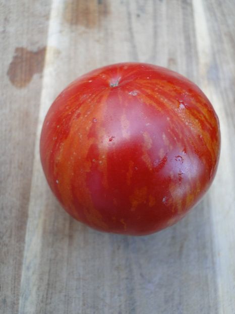  - Tomate