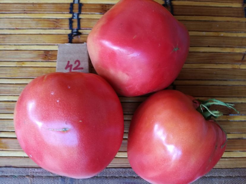  - Tomate