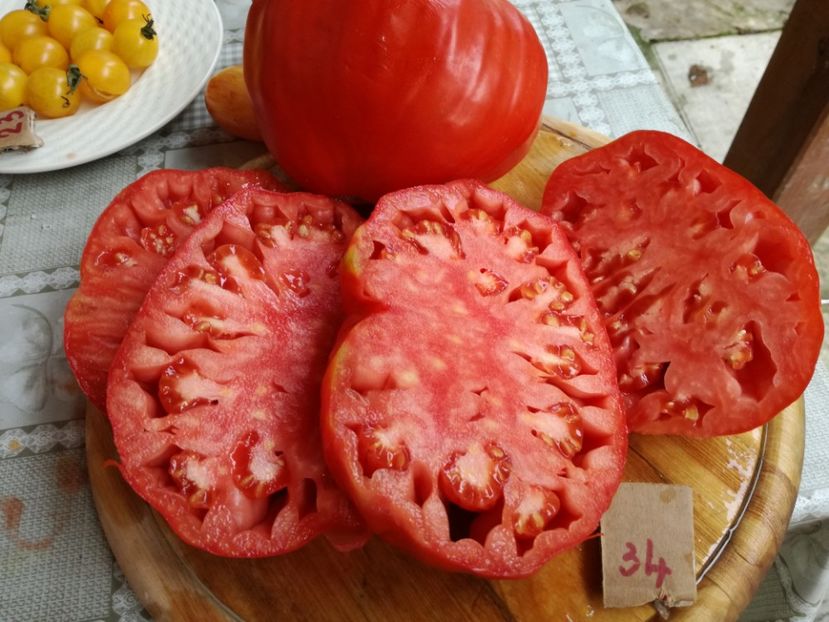  - Tomate
