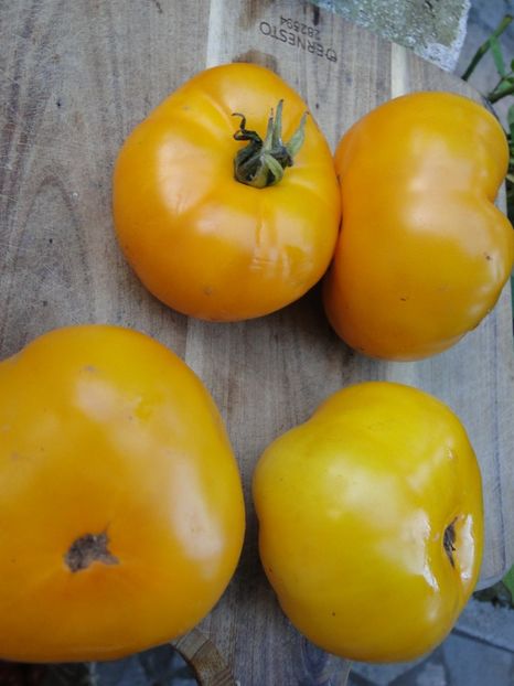 Jantar - Tomate