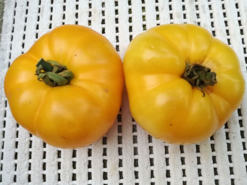 Jantar1 - Tomate
