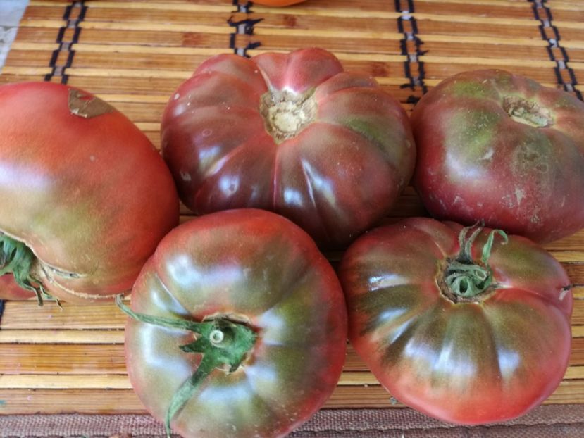 Krimeea1 - Tomate