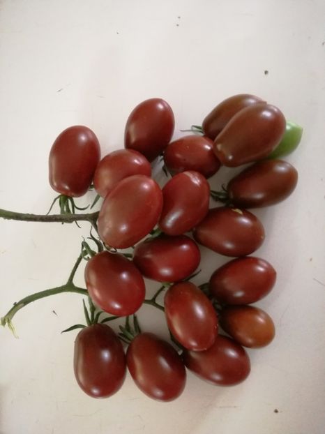 Kumato grapes - Tomate