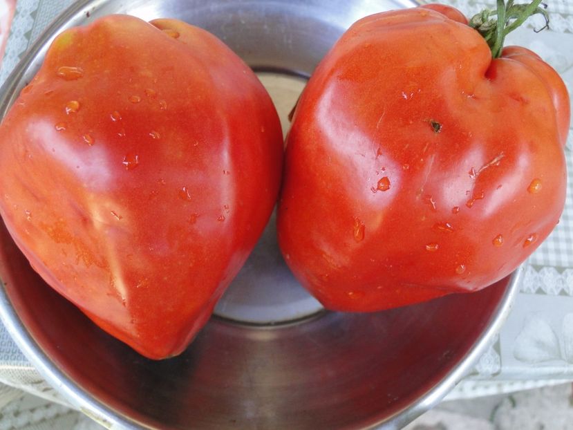 Sprint Timer 2 - Tomate