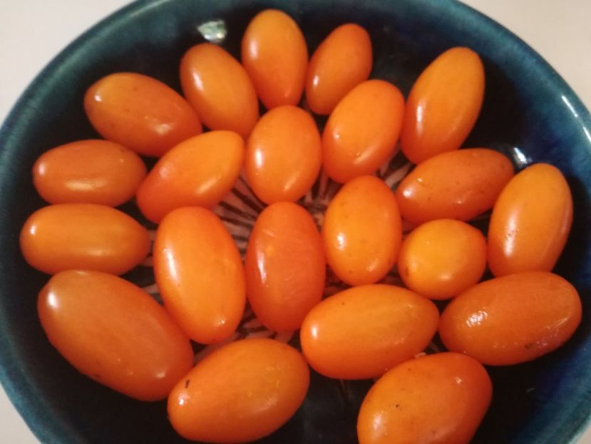  - Tomate
