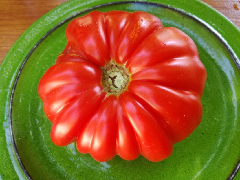 American Ribbed - Tomate