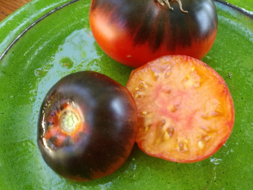 ananas blue - Tomate