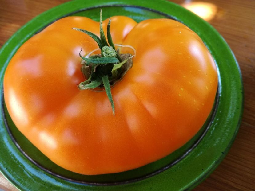 brandywine yellow5 - Tomate