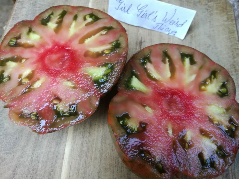  - Tomate