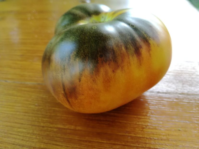  - Tomate