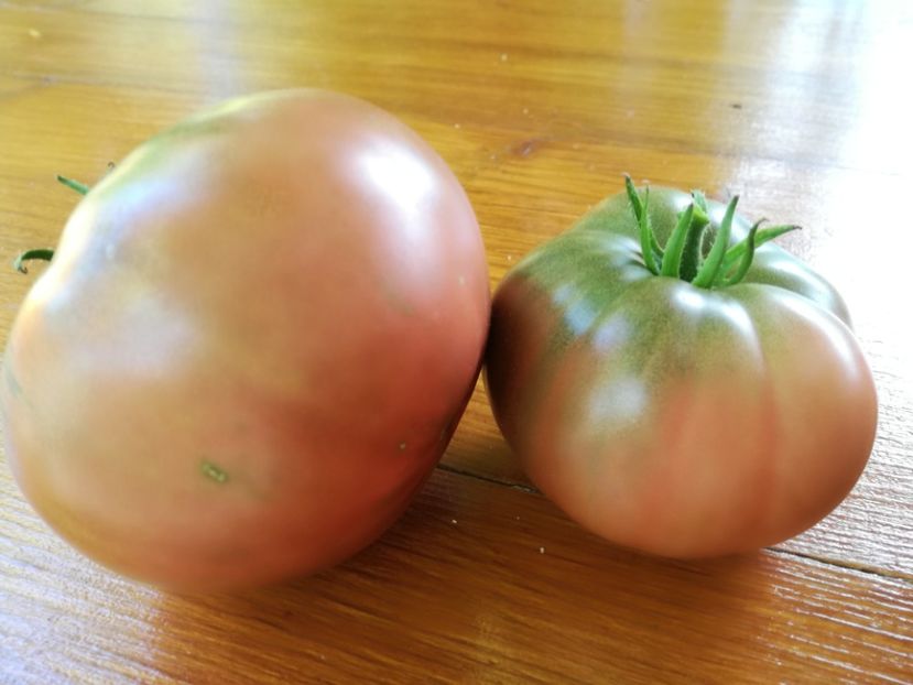  - Tomate