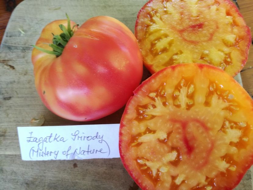  - Tomate
