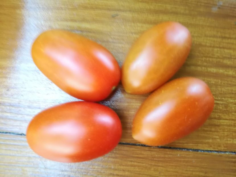  - Tomate