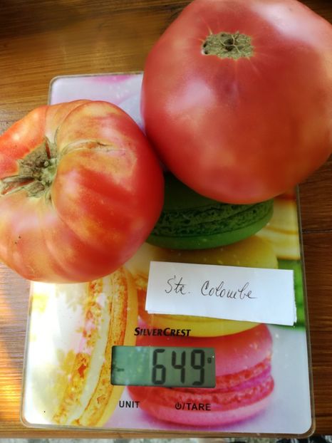  - Tomate