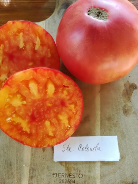  - Tomate