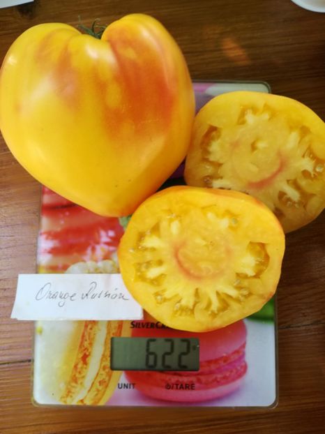  - Tomate