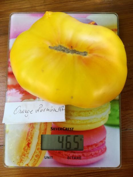  - Tomate