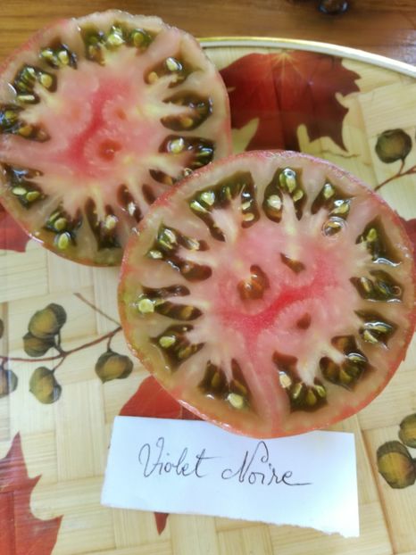  - Tomate