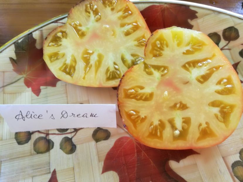  - Tomate