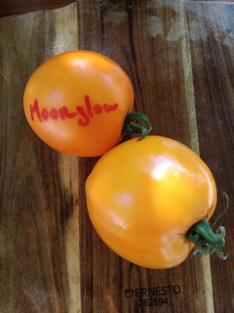  - Tomate