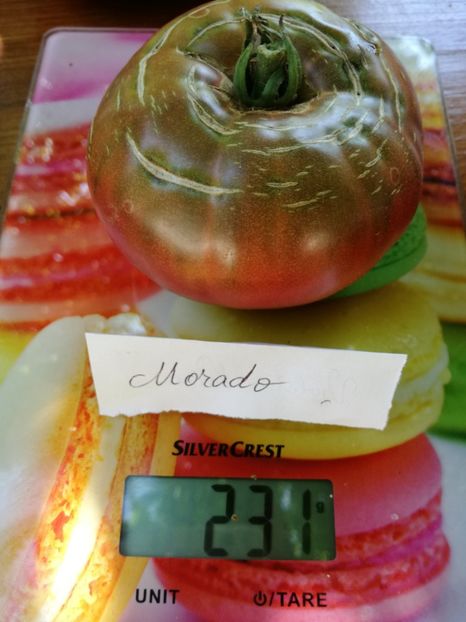  - Tomate