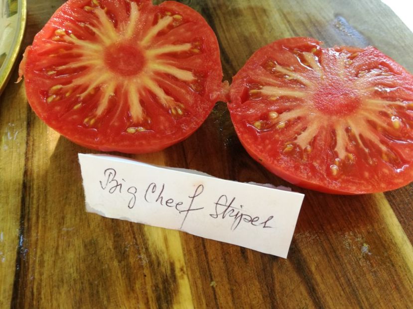  - Tomate