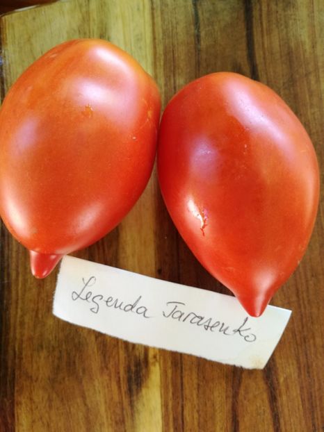  - Tomate