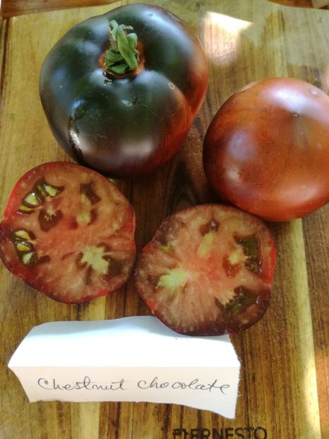  - Tomate