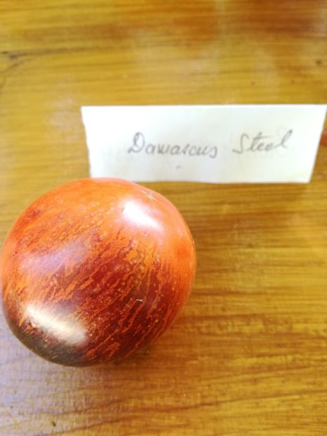  - Tomate