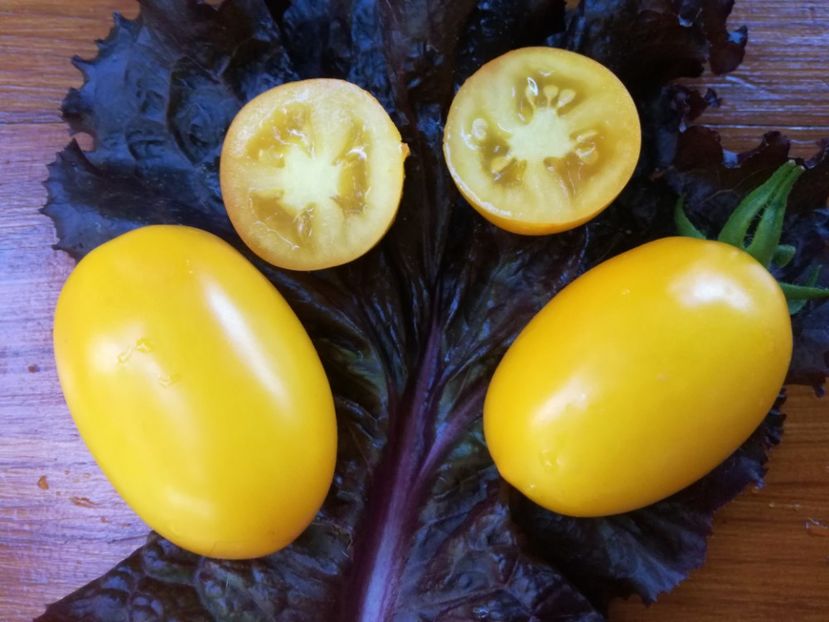  - Tomate