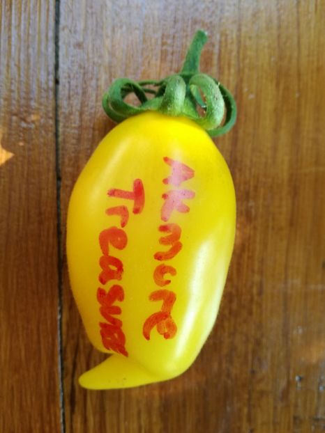 - Tomate